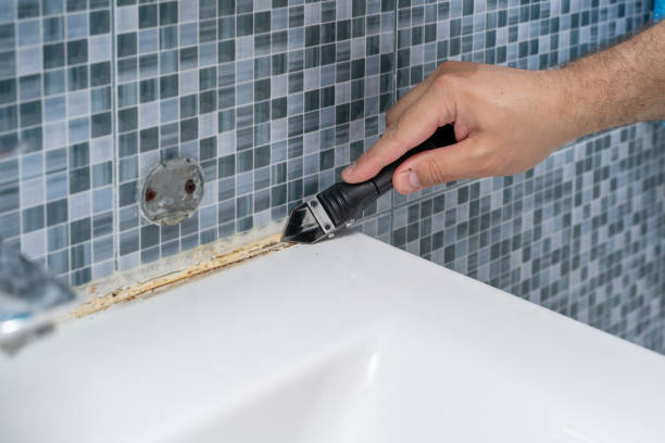 Best DIY Mold Remediation Support Services in Elkins Rk, PA