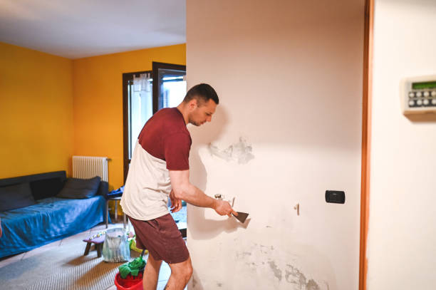 Best Emergency Mold Remediation in Elkins Rk, PA
